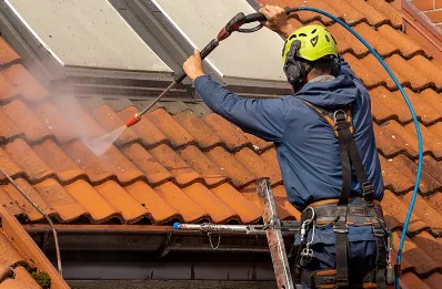 Démoussage et hydrofuge de toiture à Jasney
